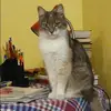 Отзыв от Клара Софронова
